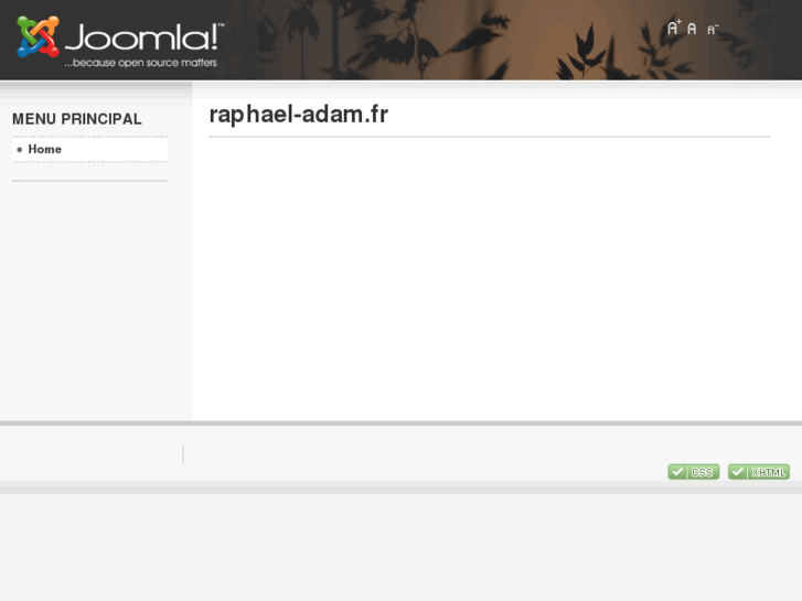 www.raphael-adam.com