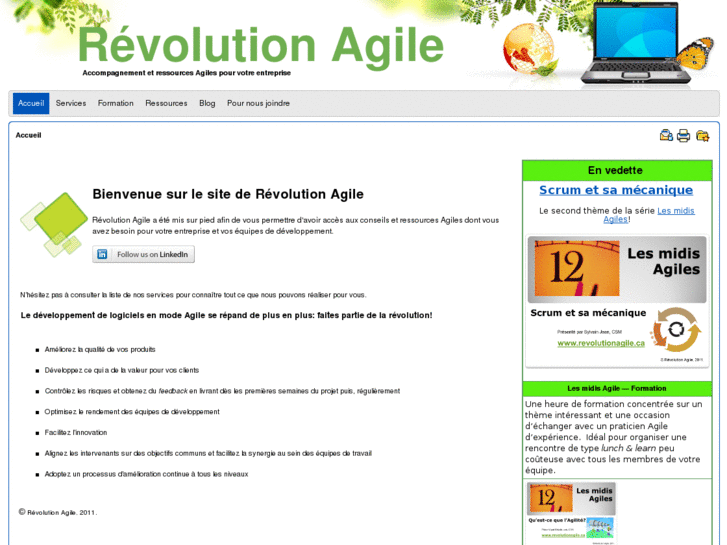 www.evolutionagile.com