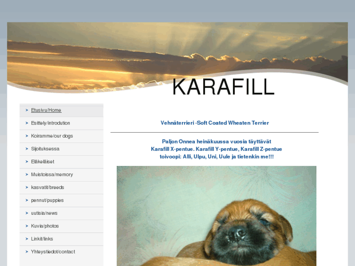 www.karafill.com