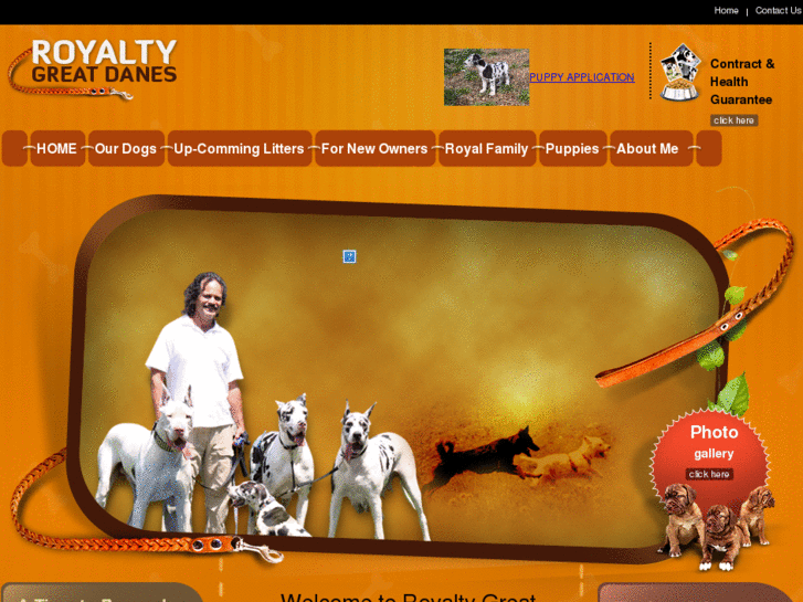 www.royaltygreatdanes.net