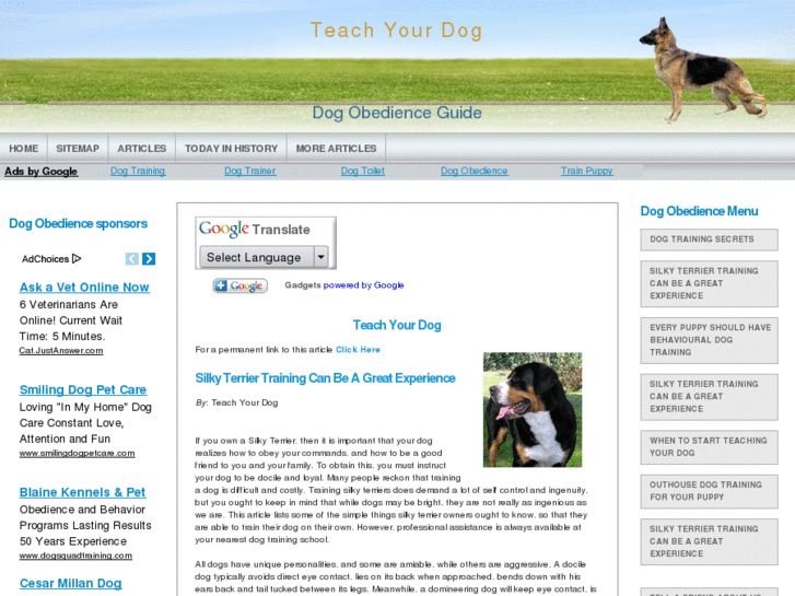 www.teach-your-dog.com