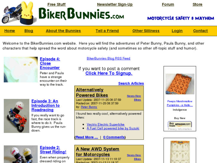 www.bikerbunnies.com