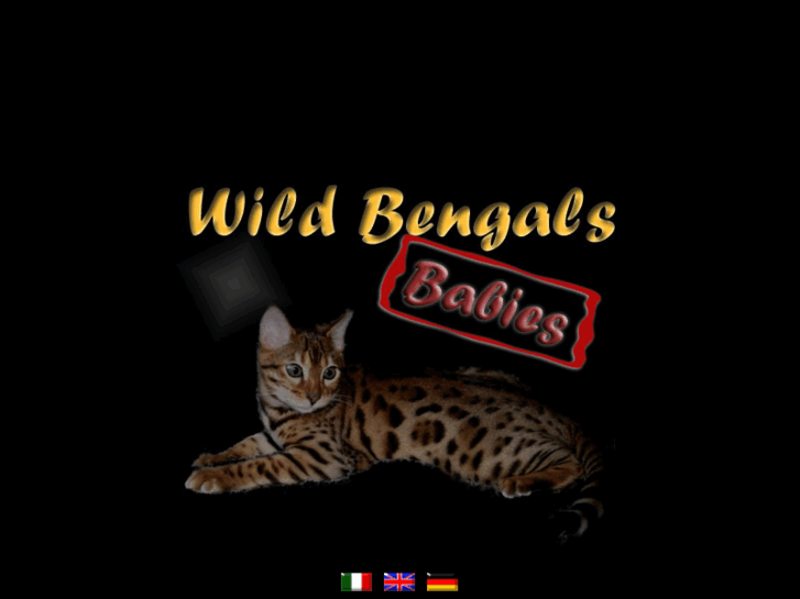 www.wildbengals.com