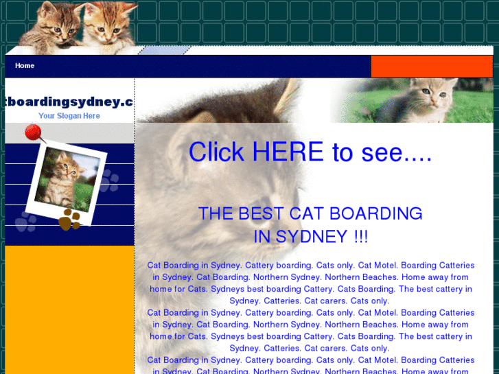 www.catboardingsydney.com