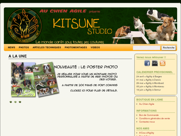 www.kitsunestudio.net