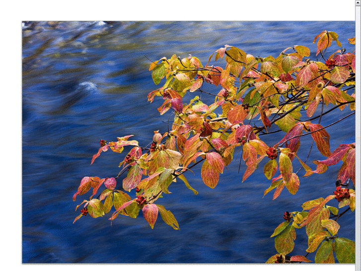 www.kylekrausephotography.com
