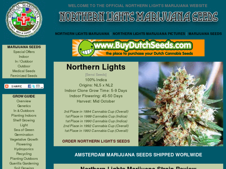 www.northernlightsseeds.com