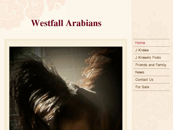 www.westfallarabians.com