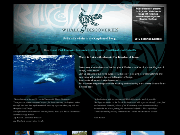 www.whalediscoveries.com