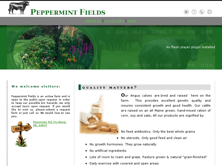 www.peppermintfields.com