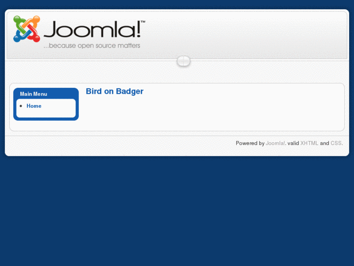 www.birdonbadger.com