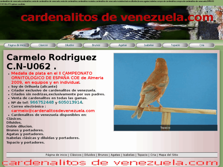 www.cardenalitosdevenezuela.com