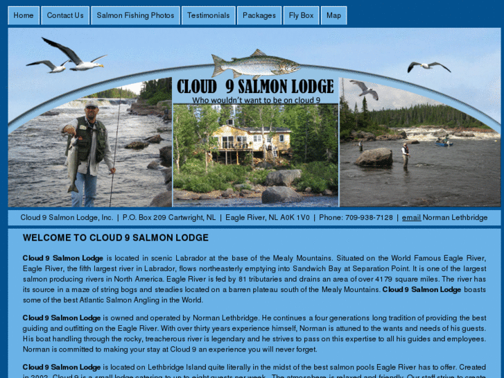 www.cloud9salmonlodge.com