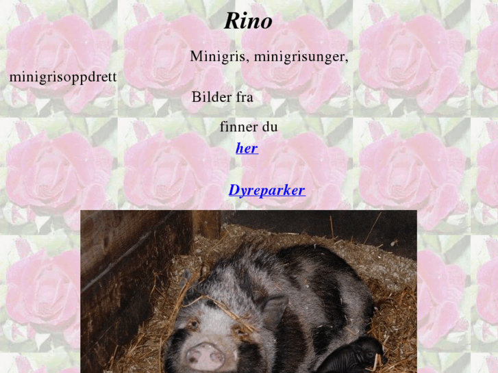 www.rino2.com