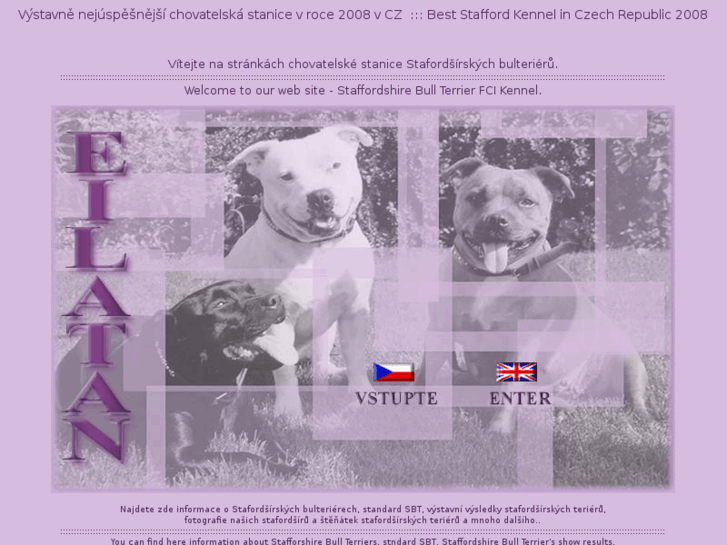 www.eilatan-staffordshirebullterrier.com