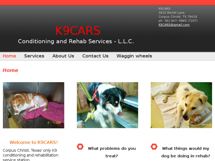 www.k9rehab.com