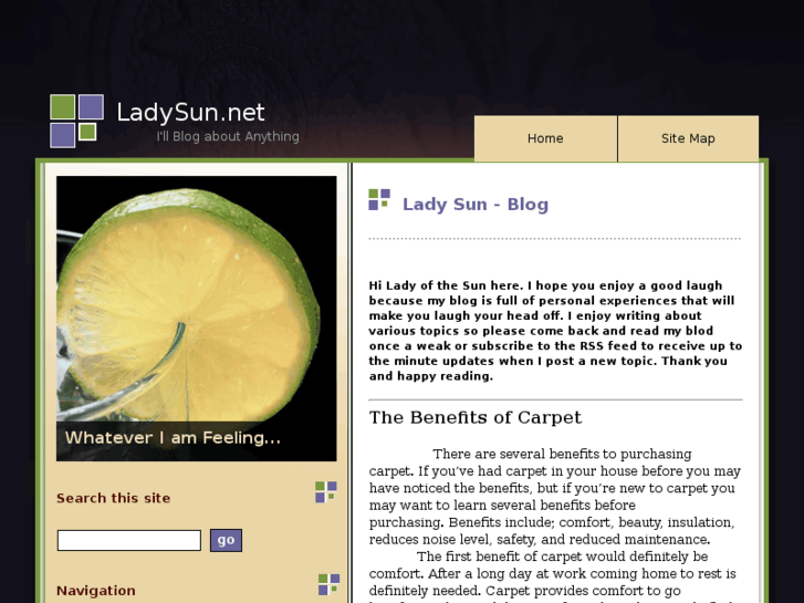 www.ladysun.net