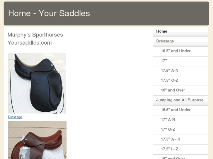 www.murphyssporthorses.com