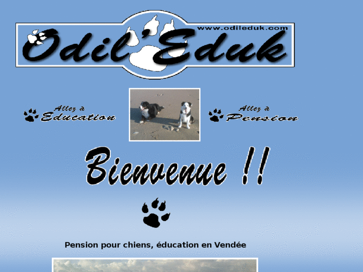 www.odileduk.com