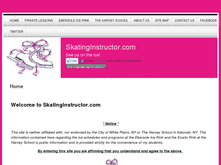 www.skatinginstructor.com
