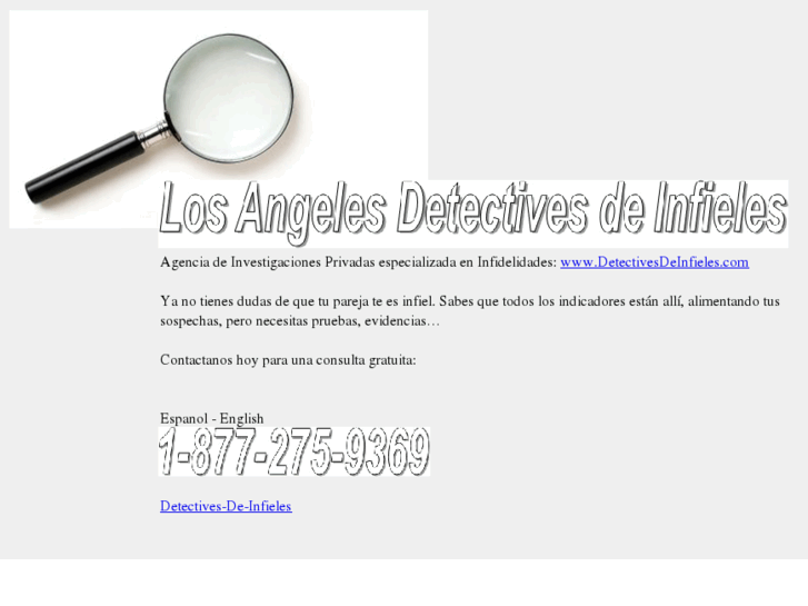 www.detectives-de-infieles.com