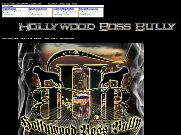 www.hollywoodbossbully.com