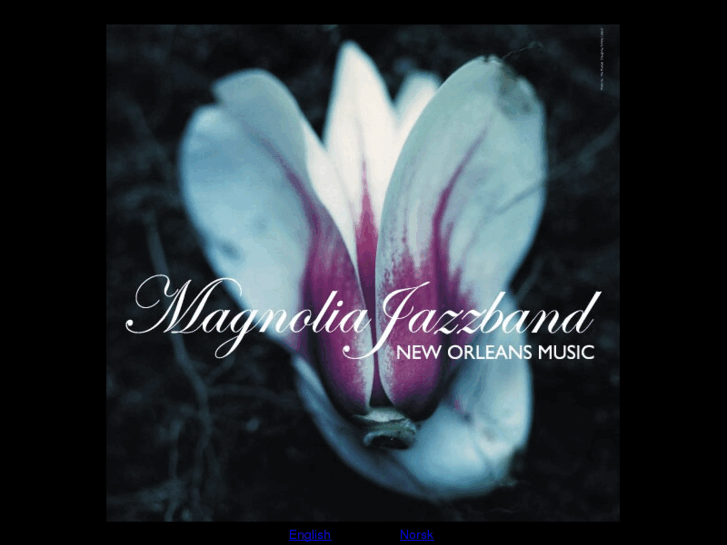 www.magnoliajazzband.com
