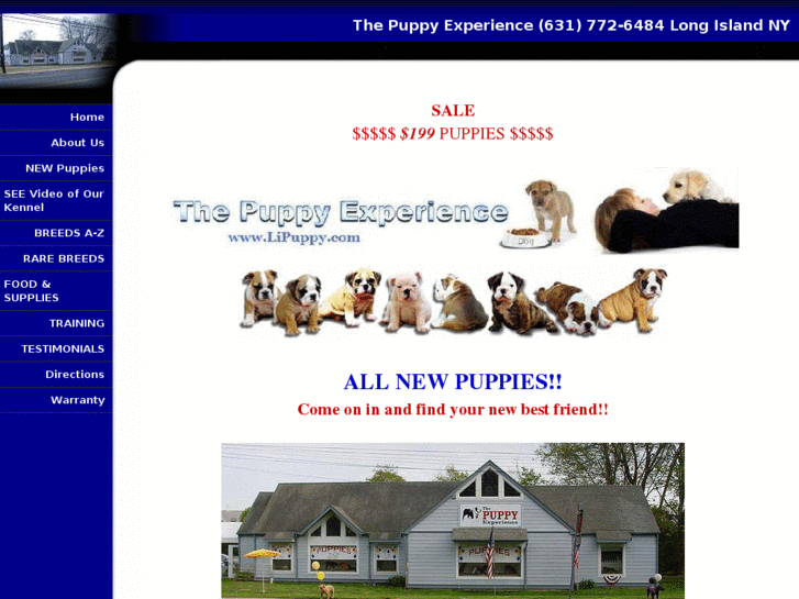 www.seeapuppy.com