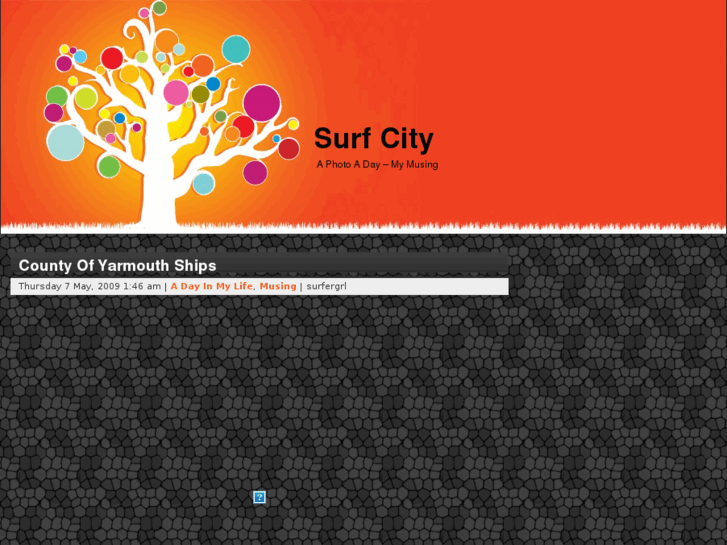 www.surfcty.com