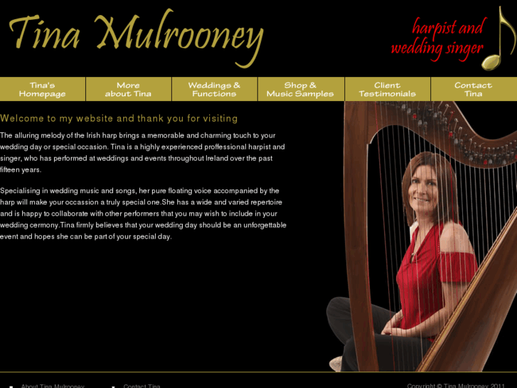 www.tinamulrooney.ie