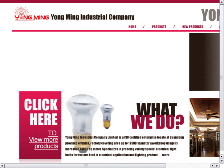 www.yongminglight.com