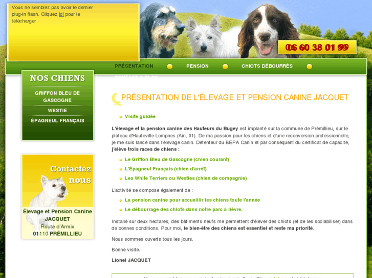 www.elevage-canin-pension-01.com