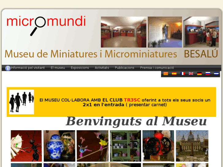 www.museuminiaturesbesalu.com