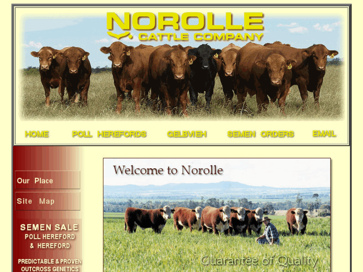 www.norolle.com.au