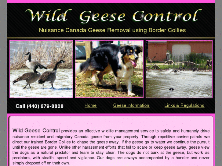 www.ohiowildgeesecontrol.com