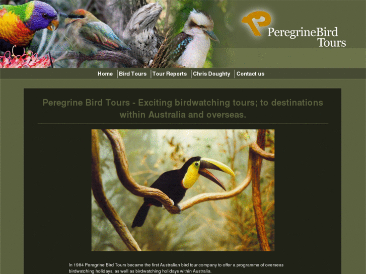 www.peregrinebirdtours.com