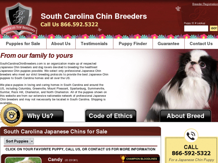 www.southcarolinachinbreeders.com