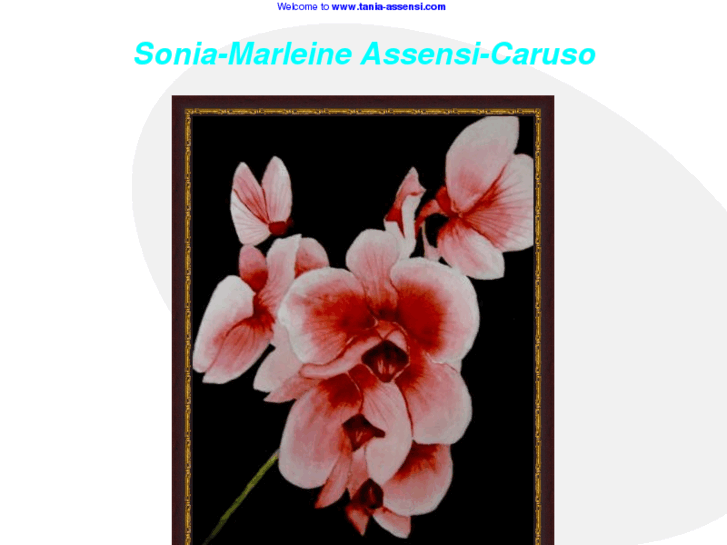 www.tania-assensi.com