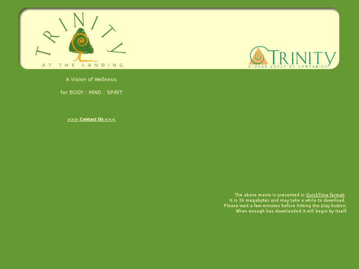 www.trinityglobalgroup.com