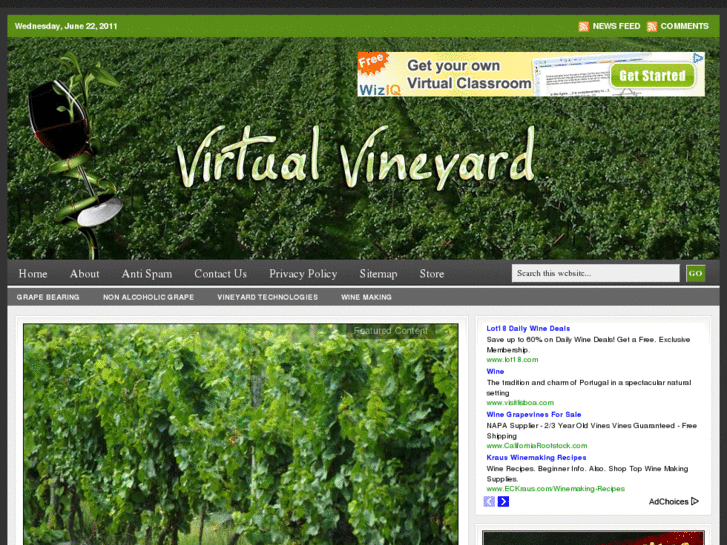 www.virtualvineyard.net