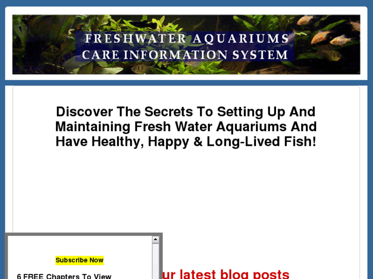 www.fresh-water-aquariums-guide.com