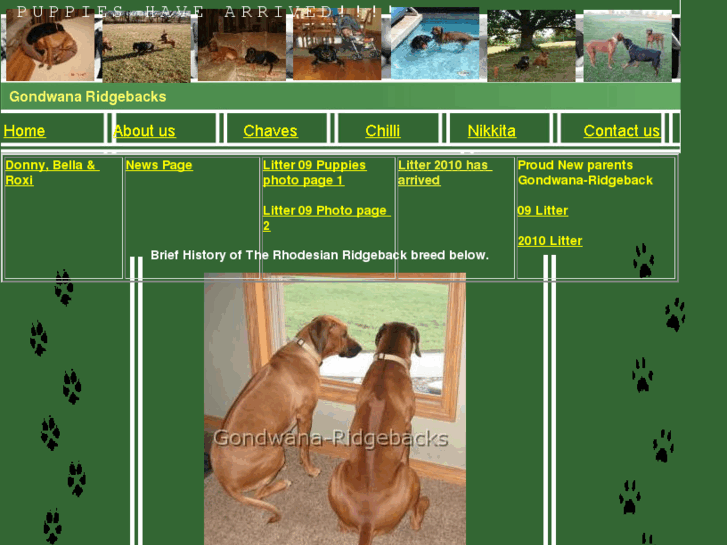 www.gondwana-ridgebacks.com