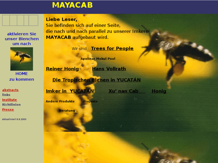 www.mayacab.com