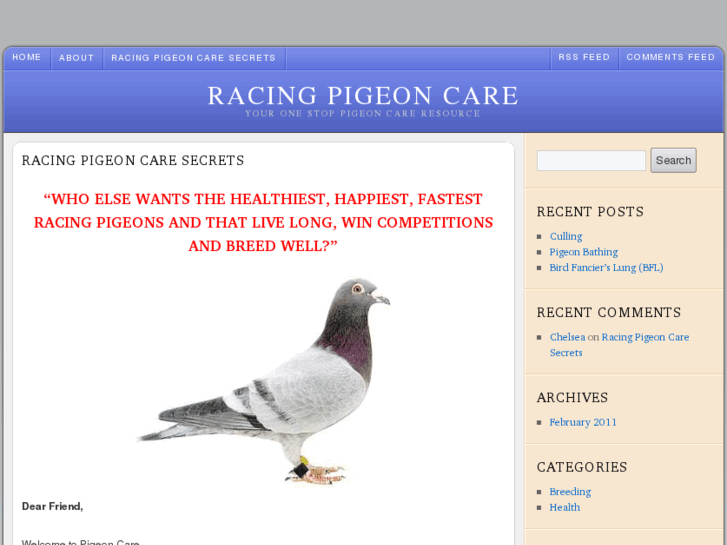 www.pigeon-care.com