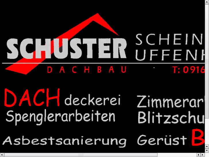 www.dachbau-schuster.com