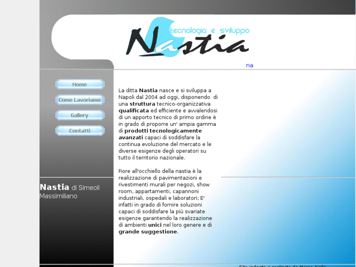 www.nastiadsm.com