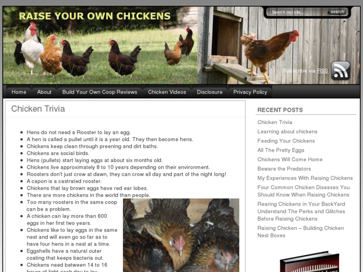 www.raiseyourownchickens.com