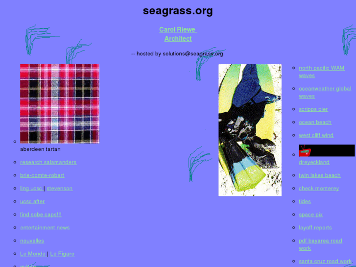 www.seagrass.org