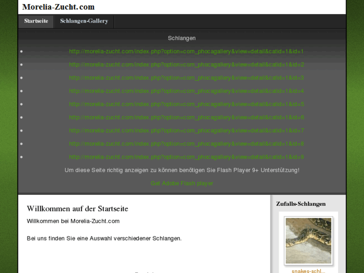 www.teppich-zucht.com