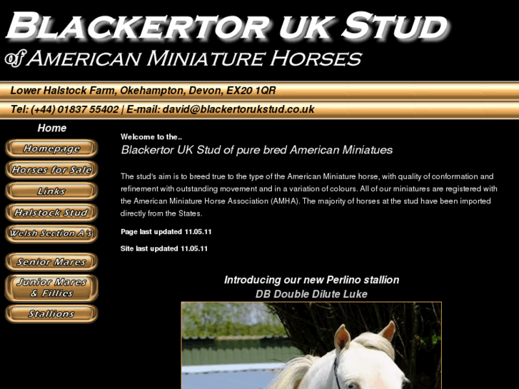 www.blackertorukstud.co.uk